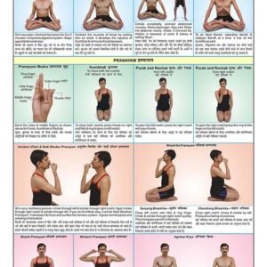 YO10 | TeachingNest | Bandh and Pranayam Yoga Chart (50x75cm) | Yoga Chart | With Rollers | English [Wall Chart]