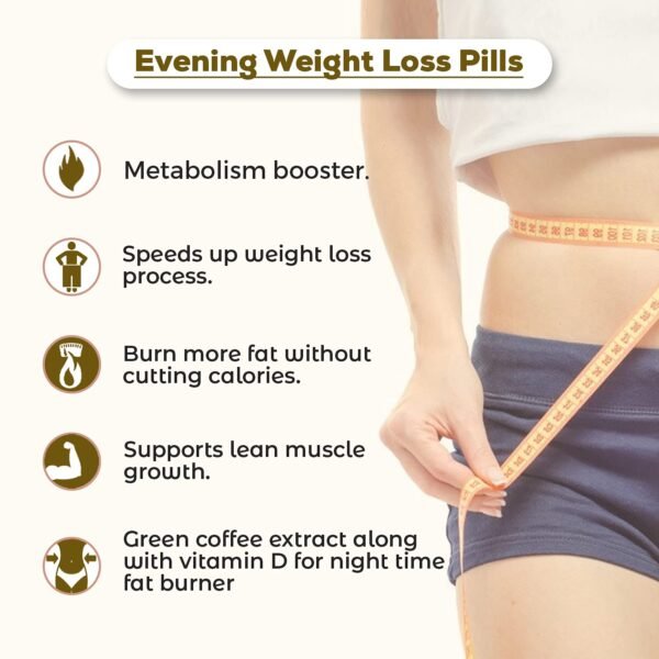 SheNeed Evening Weight Loss Pills With Fat Reduction Formula Post Exercise, For Men & Women With Green Coffee Extract, Vitamin D & Theanine, Vegan – 60 Capsules - Image 3