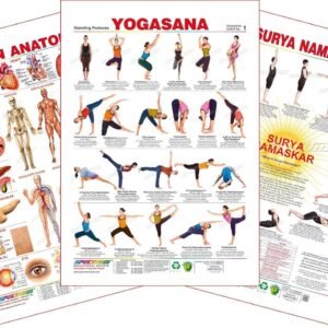 Spectrum Educational Large Wall Charts (Set of 3) : ( Human Anatomy , Yogasana 1 & Surya Namaskar ) [Wall Chart] SPECTRUM