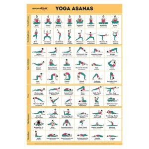 Sportaxis Yoga Poses Poster- 64 Yoga Asanas For Full Body Workout- Laminated Home Workout Poster With Colored Illustrations – English And Sanskrit Names – 18″ X 27″ (Double Sided) – Paper