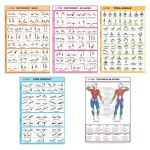 SPORTAXIS 5 Pack Laminated Workout Posters for Home Without Equipment Color Illustrations Bodyweight Basic Building Exercises Yoga Abs Training for Men and Women 18×27 Inches