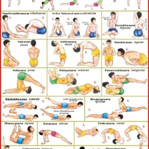 Yoga Chart ( 70 x 100 cm ) [wall_chart] Vidya Chitr Prakashan,yoga [Jan 01, 2016]…