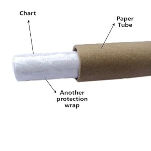 Candlesticks Pattern Chart For Trading Share Market, Big Size - Image 7