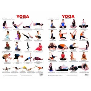 Yoga Chart 4 + Yoga Chart 2 (Set of 2 Books)