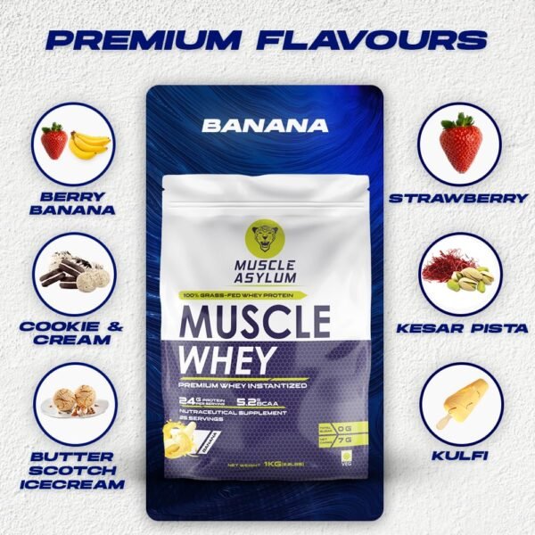 Muscle Asylum Premium Whey Protein l 1kg, 25 Servings l Banana l With Genuine Lab Reports l Muscle Building & Recovery | Increased Muscle - Image 3