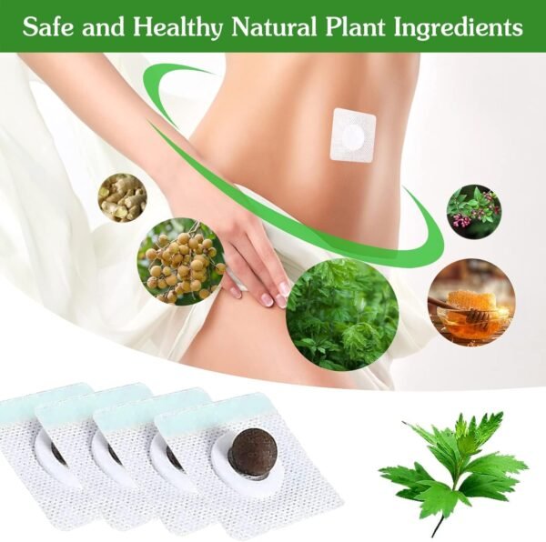 FI FIDROXIMPERIA Magnetic Slim Slimming Patch Diet Weight Loss Stickers Belly Button Patch - Natural Herbal Abdomen Waist Path For Men Women- Easy & Safe Use Patches. (Pack Of 10) - Image 5