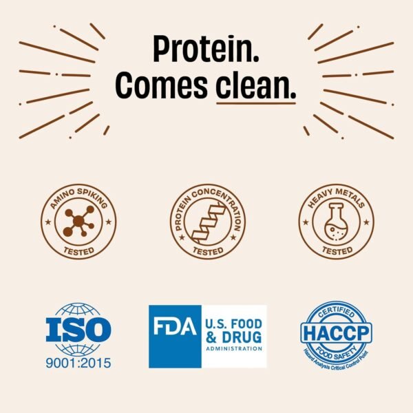 The Whole Truth Whey Protein Isolate+Concentrate | Cold Coffee 1 kg (2.2 lbs) | 24g Protein/Scoop | 6.6g BCAA | 100% Authentic Whey & No Adulteration | Clean, Light & Easy to Digest | Vegetarian - Image 8