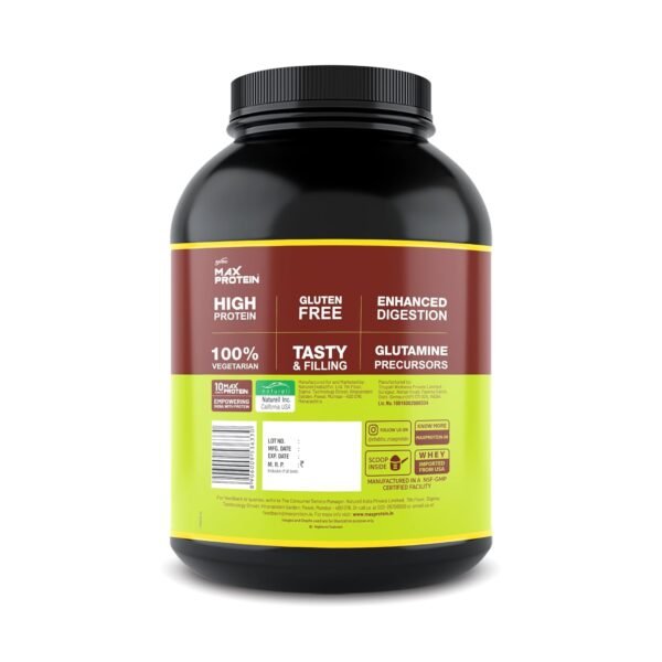RiteBite Max Protein Whey Protein Powder Kulfi 2Kg| 60 Servings | DigeZyme for Enhanced Digestion | 25g Protein | 5.2g BCAAs | Zero Added Sugar | For Adults (Men & Women) | High Protein| Gluten Free| 100% Vegetarian - Image 2