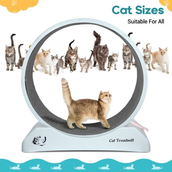Dratal Cat Exercise Wheel for Indoor Cat, 34" Large Cat Running Wheel with Carpeted Runway, Cat Treadmill Wheel for Kitty’s Longer Life, Cat Wheel for Fitness Weight Loss Device - Image 6