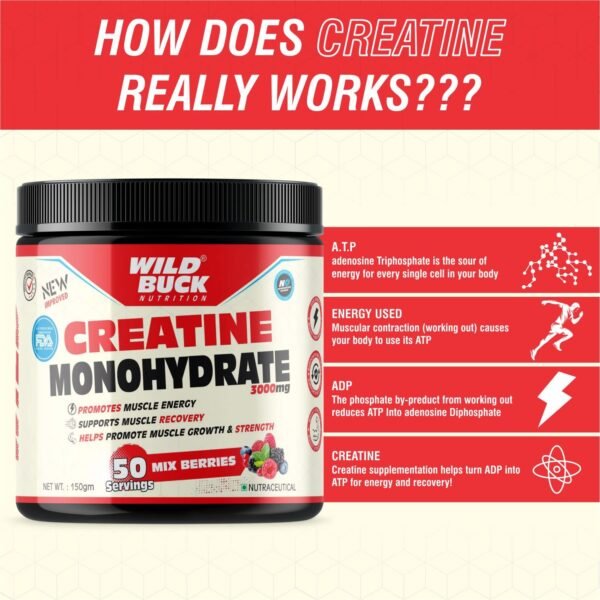 WILD BUCK Creatine Monohydrate Powder, Strength, Reduce Fatigue, 100% Pure Creatine, Lean Muscle Building, Supports Muscle Growth, Athletic Performance, Recovery [50 Servings, Mix Berries] - Image 6