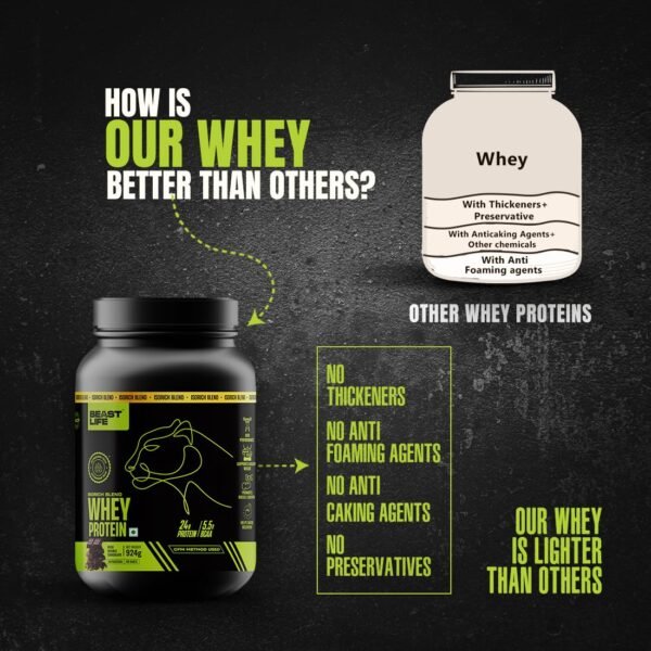 BEASTLIFE Whey Protein Powder With Ultrasorb Tech,Isorich Blend,24G Protein,5.5G Bcaa,Sports Nutrition|High Absorbtion Fuels Muscle|Speed Recovery For Men & Women (924g, Rich Double Chocolate) - Image 3