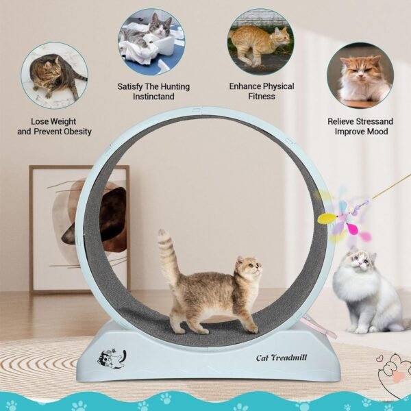 Dratal Cat Exercise Wheel for Indoor Cat, 34" Large Cat Running Wheel with Carpeted Runway, Cat Treadmill Wheel for Kitty’s Longer Life, Cat Wheel for Fitness Weight Loss Device - Image 5