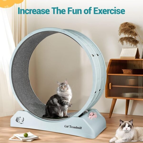 Dratal Cat Exercise Wheel for Indoor Cat, 34" Large Cat Running Wheel with Carpeted Runway, Cat Treadmill Wheel for Kitty’s Longer Life, Cat Wheel for Fitness Weight Loss Device - Image 7