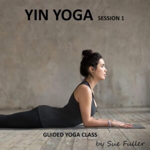 Yin Yoga Session 1: An Easy to Follow Guided Yoga Class